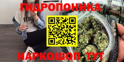 гидропоника Гатчина