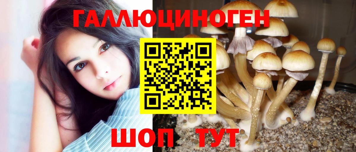 Галлюциногенные грибы мухоморы Губаха