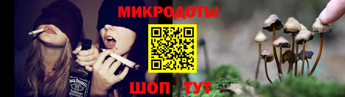 Галлюциногенные грибы Magic Shrooms  Вход с VPN  Губаха  Псилоцибиновые грибы Magic Shrooms 